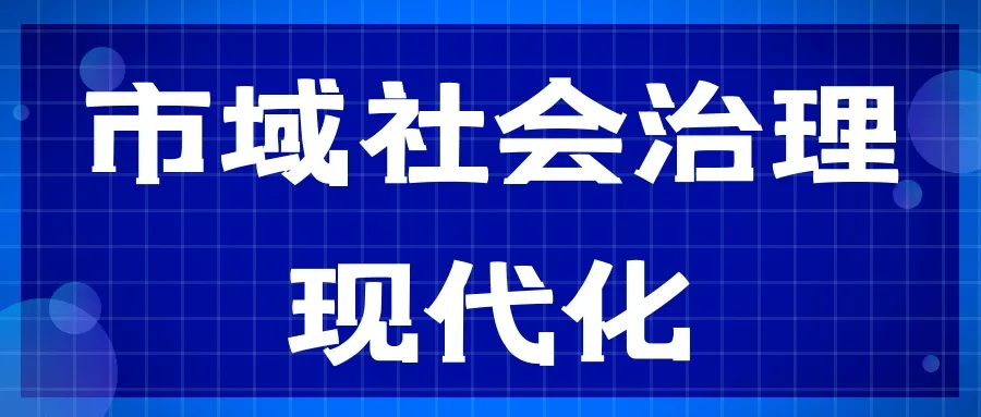 持續(xù)提升市域社會治理效能