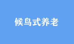 候鳥(niǎo)式養(yǎng)老 新思維拓展養(yǎng)老新空間